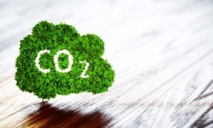 CO2 ecology graphic