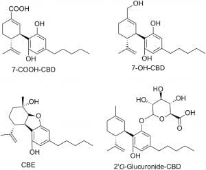 7-oh-cbd molecular structures