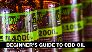 Beginner's Guide to CBD Oil