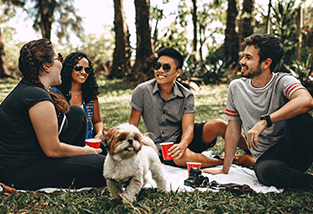 four friends hanging out with their small dog outside cbd oil