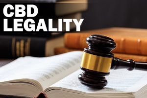 gavel and law book cbd legality