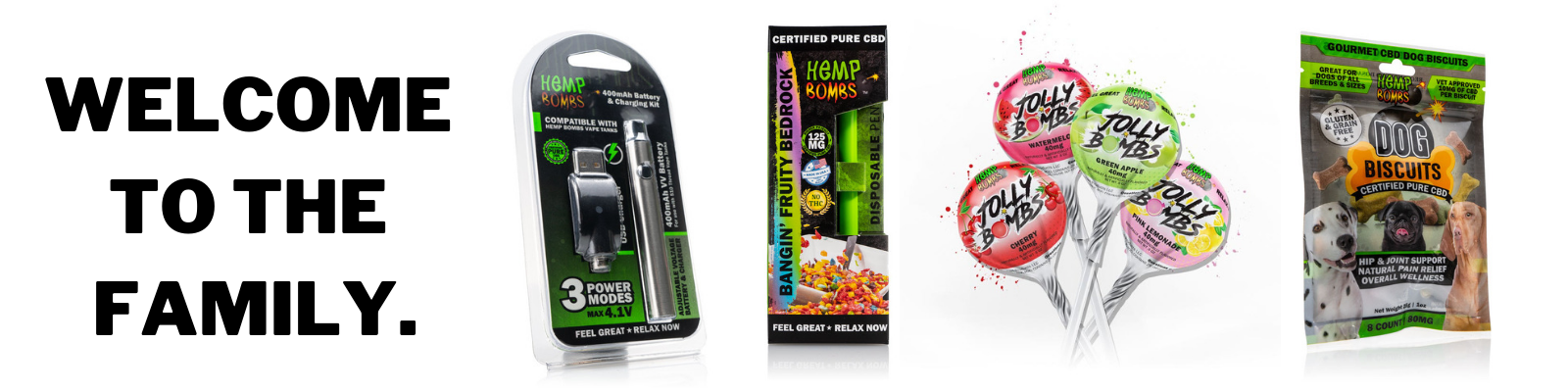 2019 Winter Products Launch