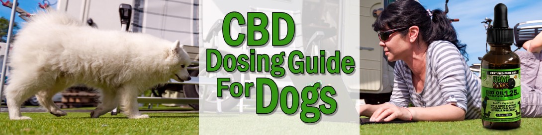 how much cbd should i give my dog