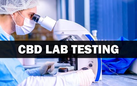The Importance of CBD Lab Testing Reports