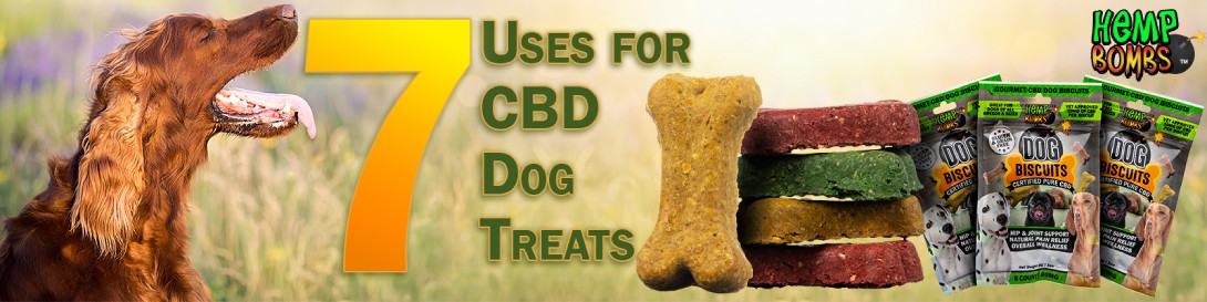 CBD Dog Treats