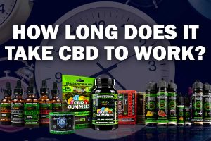 How long for CBD oil to work