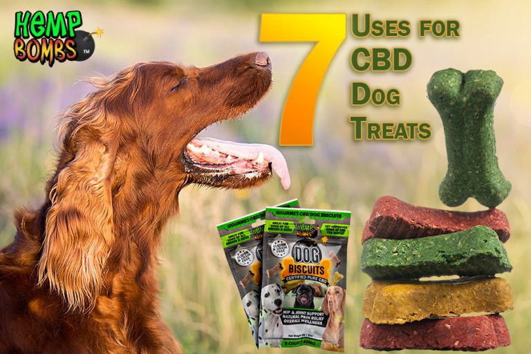 CBD Dog Treats for relaxation