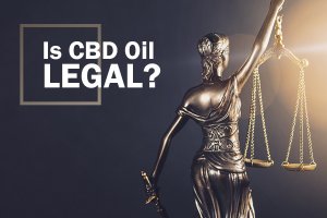 Hemp Bombs Legal CBD Oil