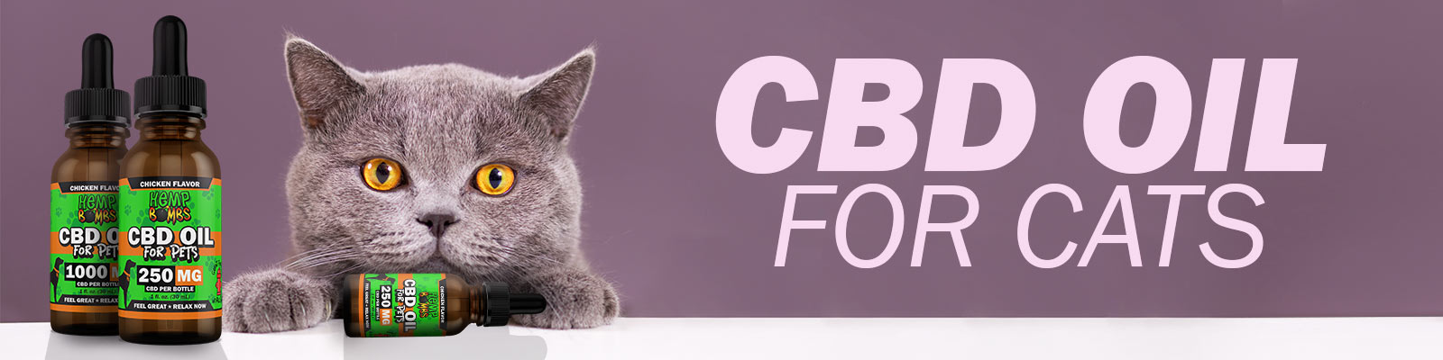 CBD Oil for Cats Guide - CBD Cat Oil