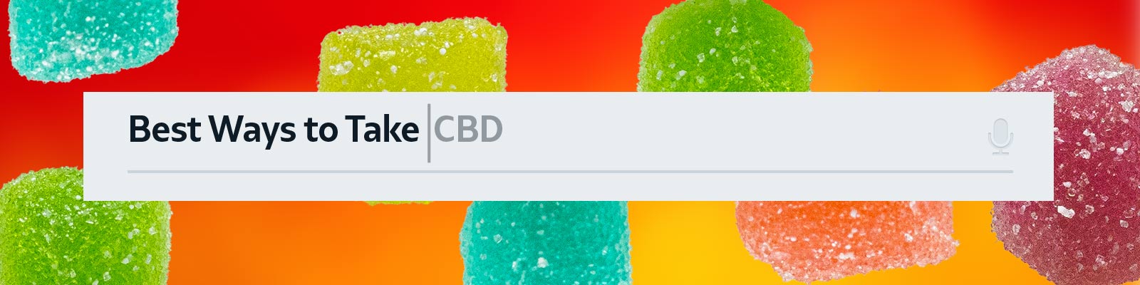 Best Ways to Take CBD Edibles, Oils, Topicals and More