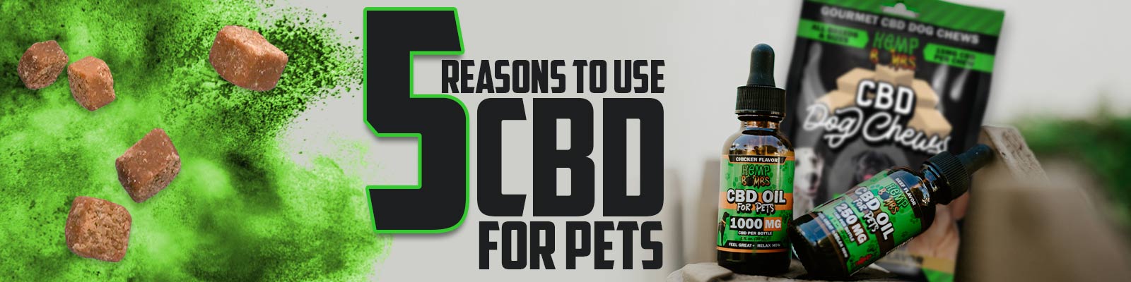 5 Reasons to Use CBD for Pets Banner