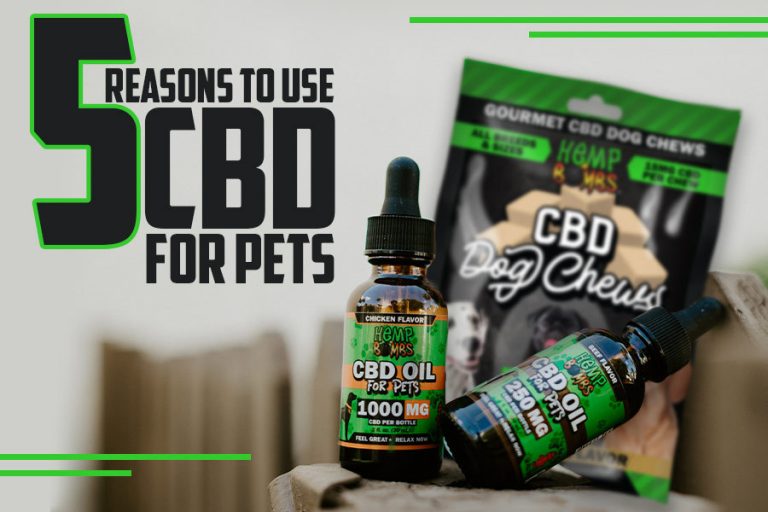 CBD for Pets preview image