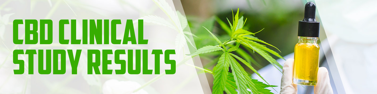 CBD Clinical Study Results