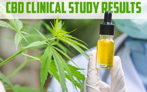 CBD Clinical Study Results