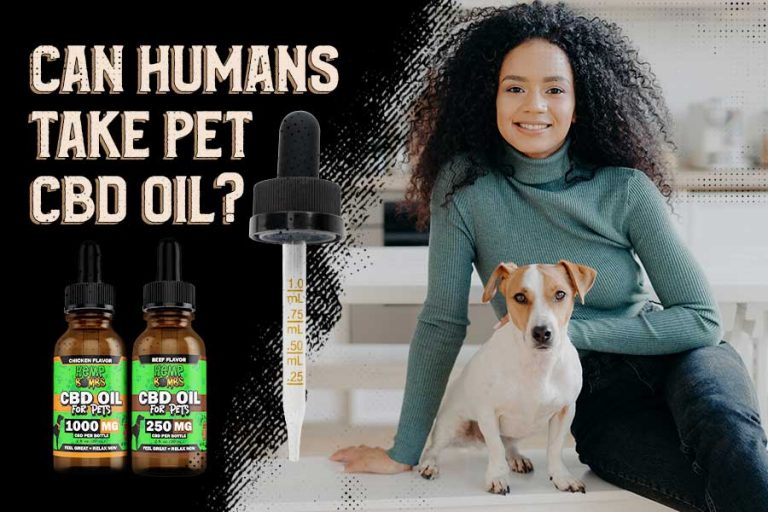 Can Humans Take Pet CBD Oil