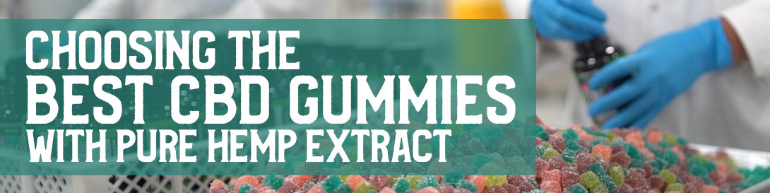 Choosing The Best CBD Gummies with Pure Hemp Extract