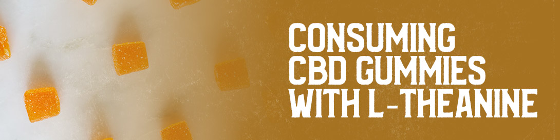 Consuming CBD Gummies with L-theanine 