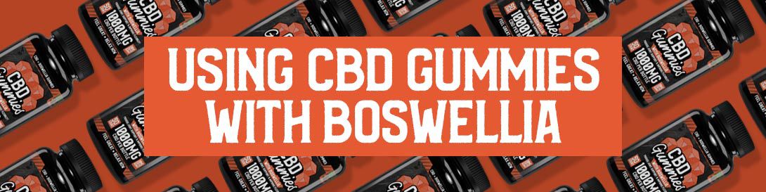 Using CBD Gummies with Boswellia