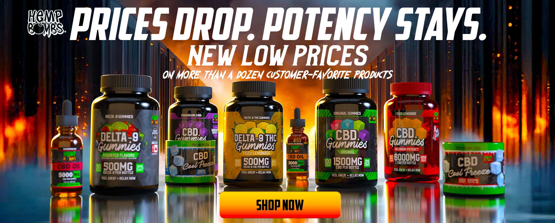 New Low Prices